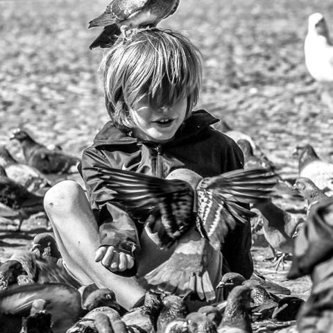 Streetphotographyamsterdam