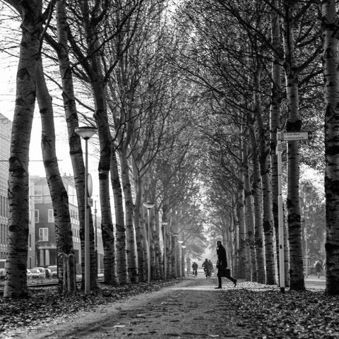 Streetphotographyamsterdam