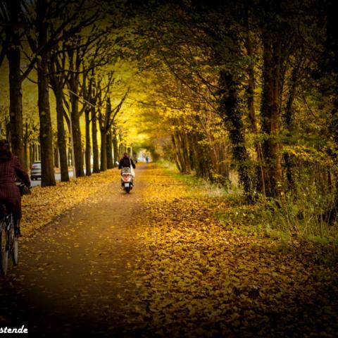 Streetphotographyamsterdam